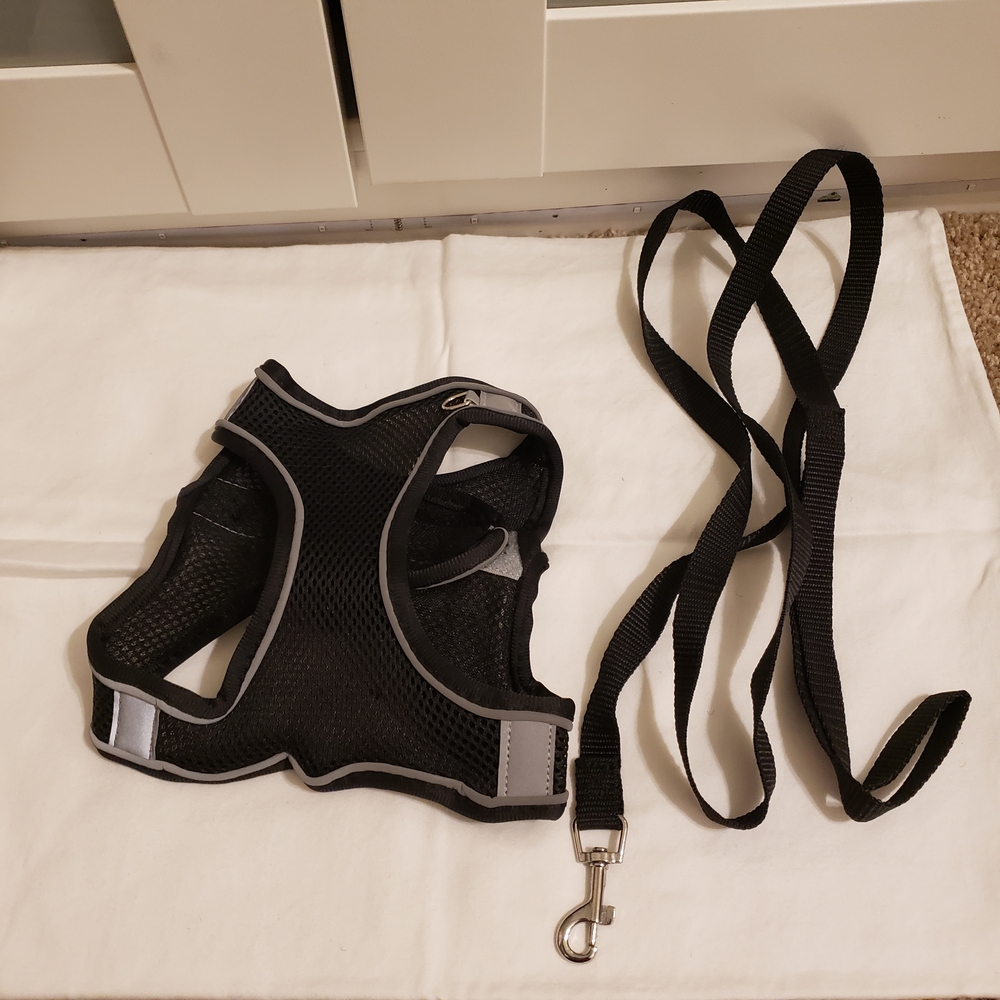 Mesh Dog Harness and Leash Set (Black)
